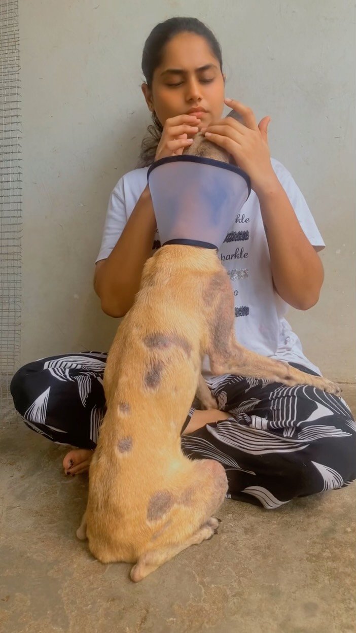 Volunteer caring for a rescued street dog