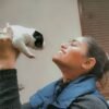 Naye Sapno Ki Udaan animal rescue
