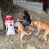 Naye Sapno Ki Udaan animal rescue