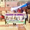 Naye Sapno Ki Udaan animal rescue