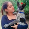 Naye Sapno Ki Udaan animal rescue